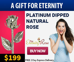 platinum dipped natural rose
