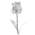 Silver-dipped rose