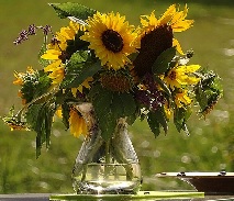 sunflowers bouquet